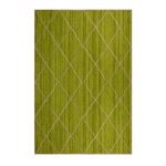 Hand Braided Green Geometric Area Rug